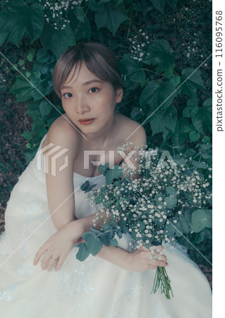 Bride in a wedding dress 116095768