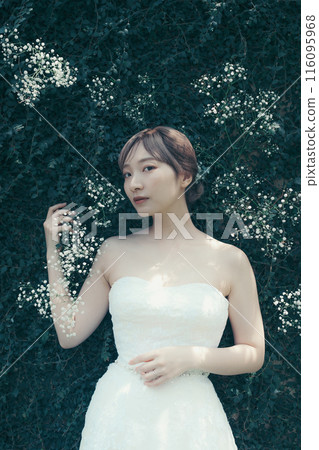 Bride in a wedding dress Bride in a wedding dress 116095968
