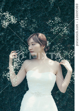 Bride in a wedding dress Bride in a wedding dress 116095969