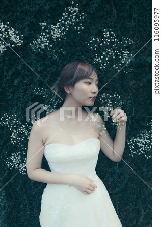 Bride in a wedding dress 116095977
