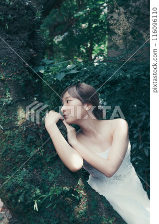 穿著婚紗的新娘 穿著婚紗的新娘 116096110