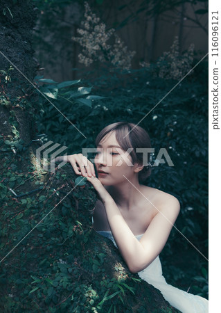 穿著婚紗的新娘 穿著婚紗的新娘 116096121