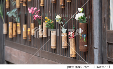 坐在竹子上的花 116096441