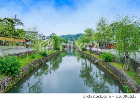 A spring scene in the old Kurashiki area enveloped in silence and fresh greenery 116096623