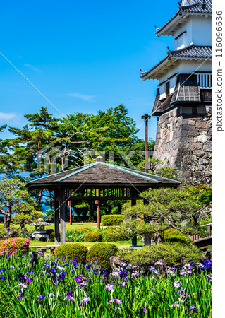 大村公園的鳶尾花[長崎縣大村市] 116096636