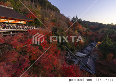 Autumn in Kyoto: Kiyomizu-dera Temple, Okunoin at dusk 116096745
