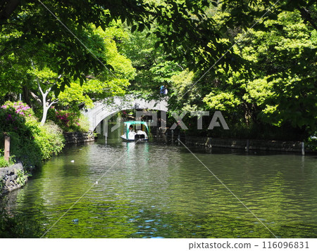 Shakujii Park 116096831