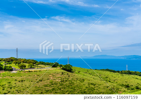 鮮綠的農莊東[長崎縣雲仙市] 116097159