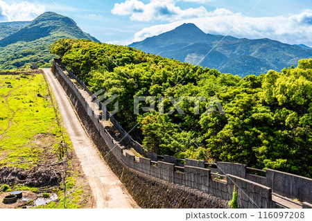 鮮綠的農莊東[長崎縣雲仙市] 116097208