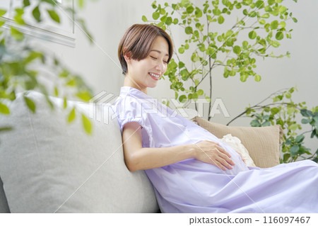 Smiling pregnant woman in the living room Smiling pregnant woman in the living room 116097467