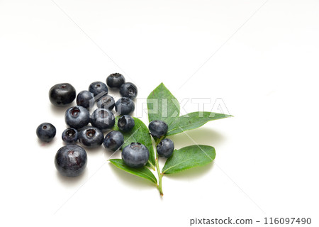 藍莓 116097490
