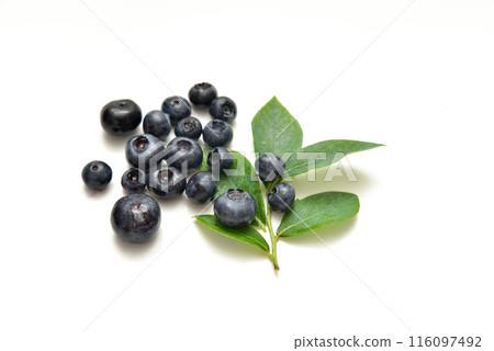 藍莓 116097492