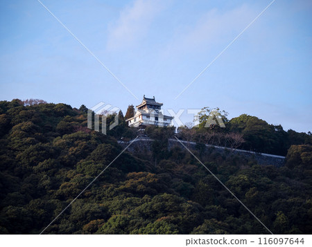 Looking up at Iwakuni Castle 116097644