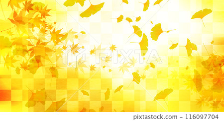 Autumn leaves ginkgo autumn background Autumn leaves ginkgo autumn background 116097704