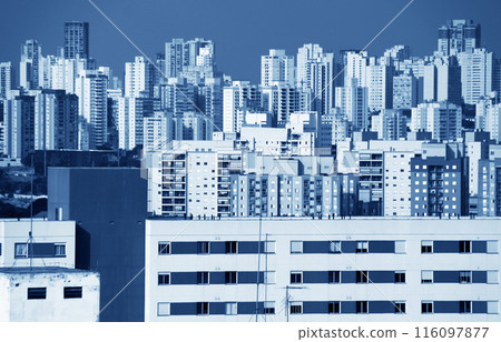 巴西聖保羅的建築物和藍天 巴西聖保羅的建築物和藍天 116097877