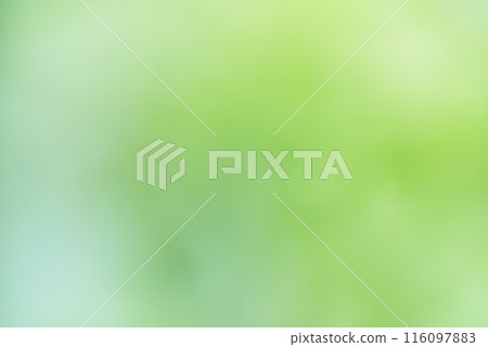 綠色背景素材 116097883