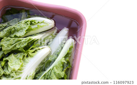 Small Chinese cabbage, Tokyo bekana cabbage soaked in a basin of water. Cleaning vegetables Small Chinese cabbage, Tokyo bekana cabbage soaked in a basin of water. Cleaning vegetables 116097923