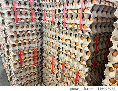 Chicken eggs in egg tray for sale in supermarket Chicken eggs in egg tray for sale in supermarket 116097978