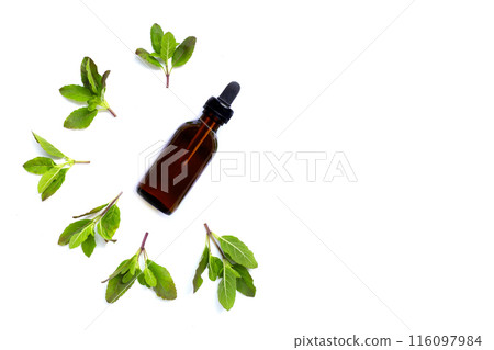 Holy basil essential oil with leaves on white Holy basil essential oil with leaves on white 116097984