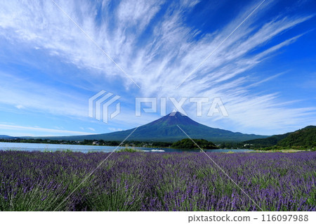 從大石公園看到的富士山 從大石公園看到的富士山 116097988