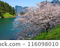 View of cherry blossoms and buildings from the moat of the Imperial Palace 116098010
