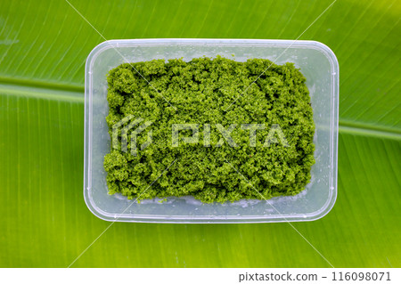 Wolffia globosa or swamp algae, water meal 116098071