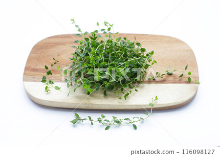 Fresh lemon thyme on white background. 116098127