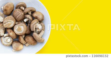 Fresh shiitake mushrooms on yellow background. Fresh shiitake mushrooms on yellow background. 116098132