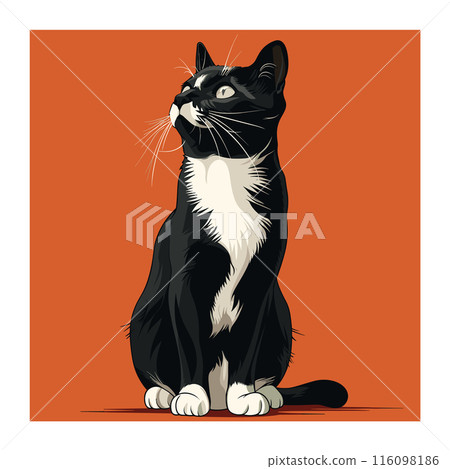 Black white cat sitting against orange background. Tuxedo cat artwork detailed fur whiskers, gazing upwards. Pet illustration ideal animal lovers interior decor Black white cat sitting against orange background. Tuxedo cat artwork detailed fur whiskers, gazing upwards. Pet illustration ideal animal lovers interior decor 116098186