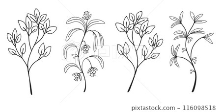 Hand drawing botanical leaves line collection. Vector illustration. Hand drawing botanical leaves line collection. Vector illustration. 116098518