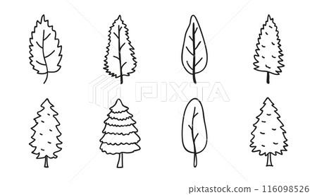 Hand drawn pines collection. Botanical trees line art. 116098526