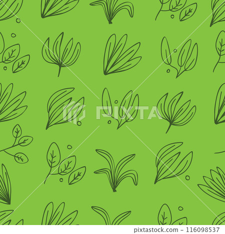 Hand drawn line botanical green leaves seamless pattern 116098537