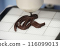 3D Chocolate Printing 116099013