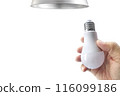 closeup hand changing an electric light bulb, transparent background 116099186