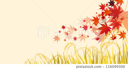 Rice Autumn Countryside Landscape Background 116099300