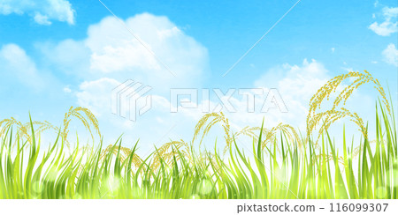 Rice Autumn Countryside Landscape Background 116099307