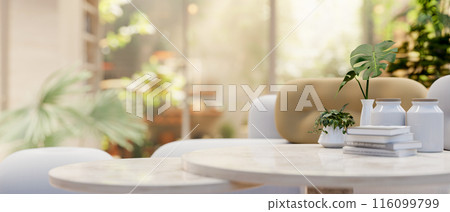 A modern neutral marble coffee table with a blurred background of a beautiful sunny home garden view 116099799