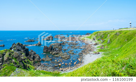 Taimarazaki 116100199