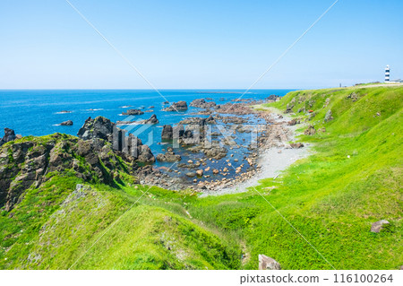 Taimarazaki 116100264