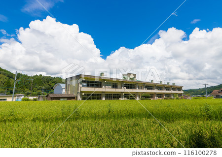 Harvested rice fields and school (Taketa City, Oita Prefecture) 116100278