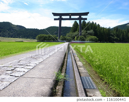 A road leading to a torii gate leading through a rural landscape 116100441