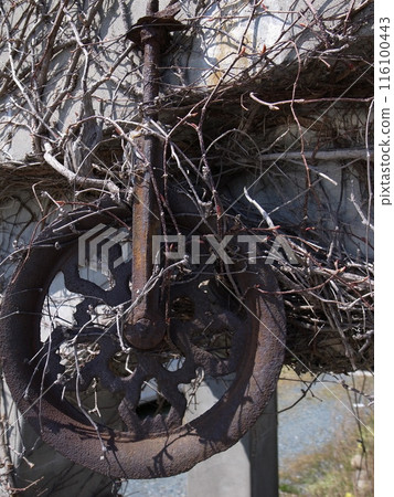 Old pulley 116100443
