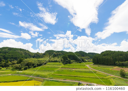 Harvested rice fields and blue skies (Taketa City, Oita Prefecture) 116100460