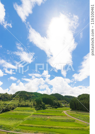Harvested rice fields and blue skies (Taketa City, Oita Prefecture) 116100461