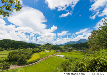 Harvested rice fields and blue skies (Taketa City, Oita Prefecture) 116100477