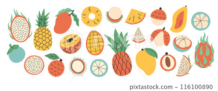 Set of different exotic fruits. Collection of organic vitamins and healthy nutrition. Pitahaya, pineapple, mango, lychee 116100890