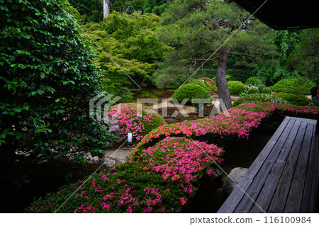 雲龍院院內風景 雲龍院院內風景 116100984
