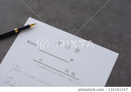 借款人在藉貸時向貸款人出示的“貸款票據” 116101347