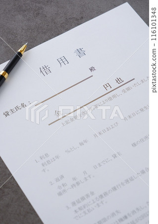 借款人在藉貸時向貸款人出示的“貸款票據” 116101348