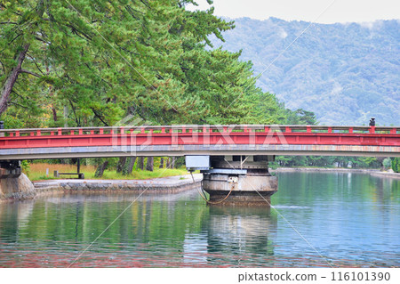 Amanohashidate Kaisenkyo Bridge (Miyazu City, Kyoto Prefecture) Amanohashidate Kaisenkyo Bridge (Miyazu City, Kyoto Prefecture) 116101390